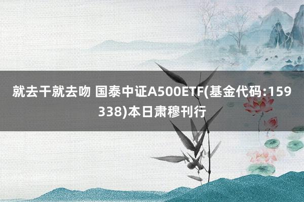 就去干就去吻 国泰中证A500ETF(基金代码:159338)本日肃穆刊行