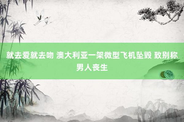 就去爱就去吻 澳大利亚一架微型飞机坠毁 致别称男人丧生