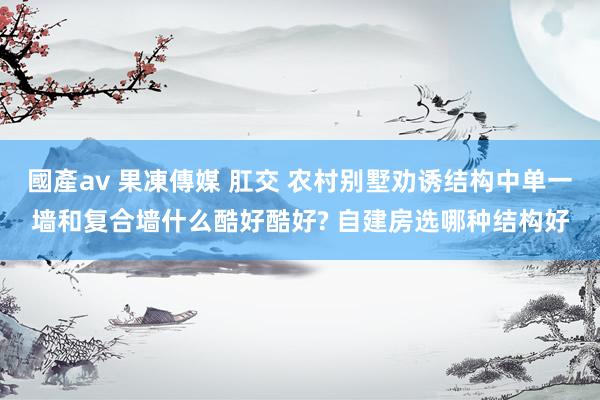 國產av 果凍傳媒 肛交 农村别墅劝诱结构中单一墙和复合墙什么酷好酷好? 自建房选哪种结构好