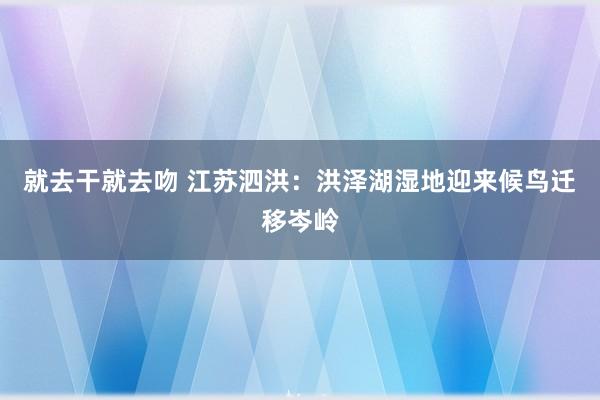 就去干就去吻 江苏泗洪：洪泽湖湿地迎来候鸟迁移岑岭