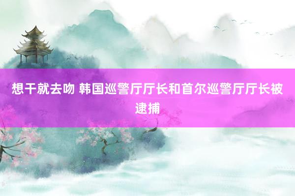 想干就去吻 韩国巡警厅厅长和首尔巡警厅厅长被逮捕