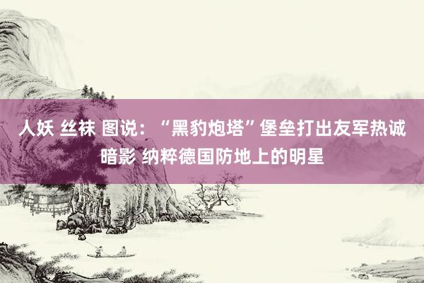 人妖 丝袜 图说：“黑豹炮塔”堡垒打出友军热诚暗影 纳粹德国防地上的明星