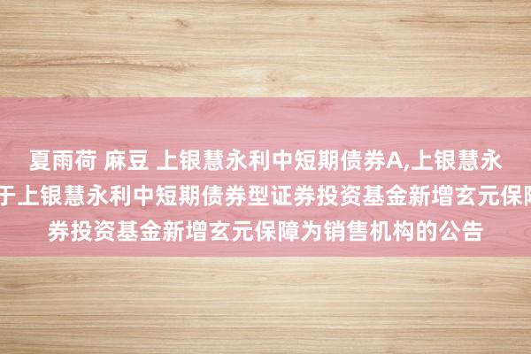 夏雨荷 麻豆 上银慧永利中短期债券A,上银慧永利中短期债券C: 对于上银慧永利中短期债券型证券投资基金新增玄元保障为销售机构的公告