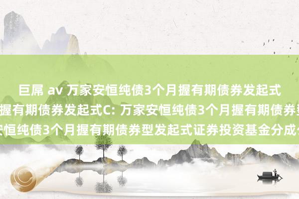 巨屌 av 万家安恒纯债3个月握有期债券发起式A，万家安恒纯债3个月握有期债券发起式C: 万家安恒纯债3个月握有期债券型发起式证券投资基金分成公告