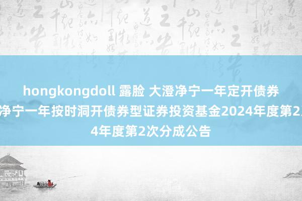 hongkongdoll 露脸 大澄净宁一年定开债券: 对于大澄净宁一年按时洞开债券型证券投资基金2024年度第2次分成公告