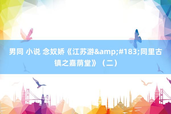 男同 小说 念奴娇《江苏游&#183;同里古镇之嘉荫堂》（二）
