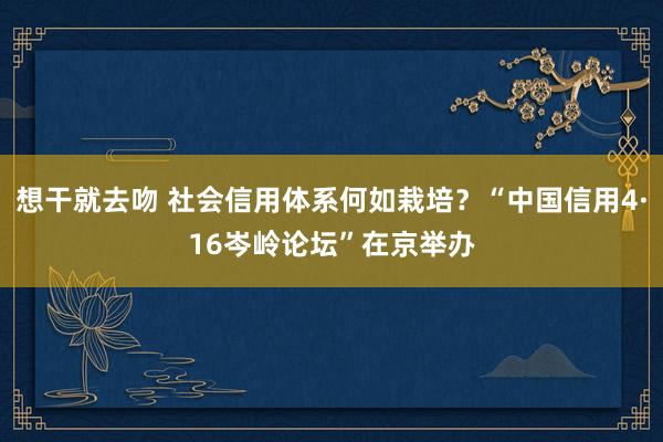 想干就去吻 社会信用体系何如栽培？“中国信用4·16岑岭论坛”在京举办