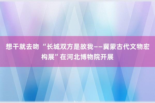 想干就去吻 “长城双方是故我——冀蒙古代文物宏构展”在河北博物院开展