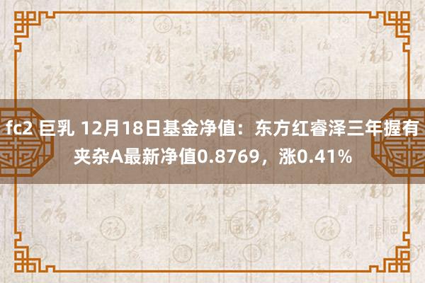 fc2 巨乳 12月18日基金净值：东方红睿泽三年握有夹杂A最新净值0.8769，涨0.41%