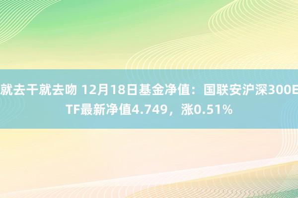 就去干就去吻 12月18日基金净值：国联安沪深300ETF最新净值4.749，涨0.51%
