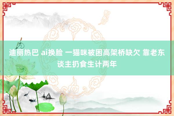 迪丽热巴 ai换脸 一猫咪被困高架桥缺欠 靠老东谈主扔食生计两年