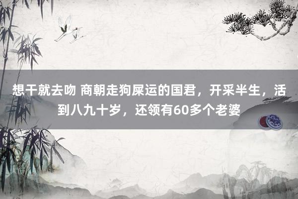 想干就去吻 商朝走狗屎运的国君，开采半生，活到八九十岁，还领有60多个老婆