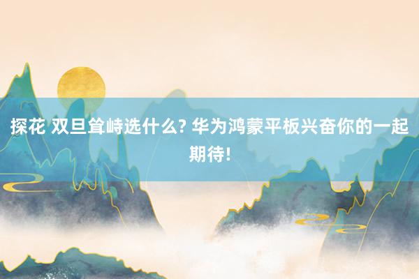 探花 双旦耸峙选什么? 华为鸿蒙平板兴奋你的一起期待!