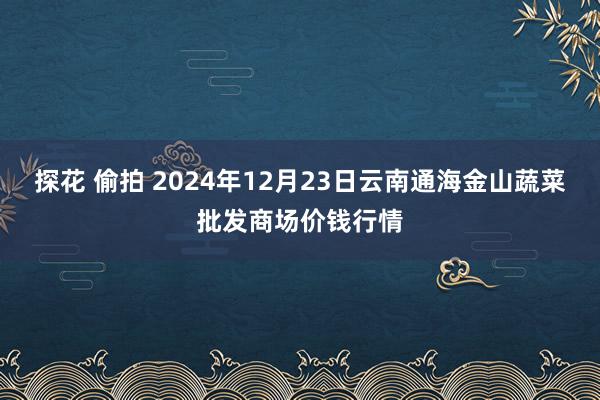 探花 偷拍 2024年12月23日云南通海金山蔬菜批发商场价钱行情