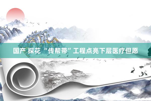 国产 探花 “传帮带”工程点亮下层医疗但愿