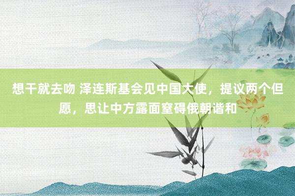 想干就去吻 泽连斯基会见中国大使，提议两个但愿，思让中方露面窒碍俄朝谐和