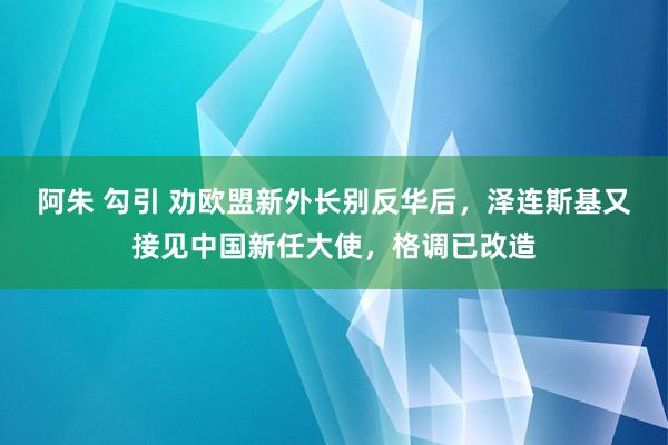 阿朱 勾引 劝欧盟新外长别反华后，泽连斯基又接见中国新任大使，格调已改造