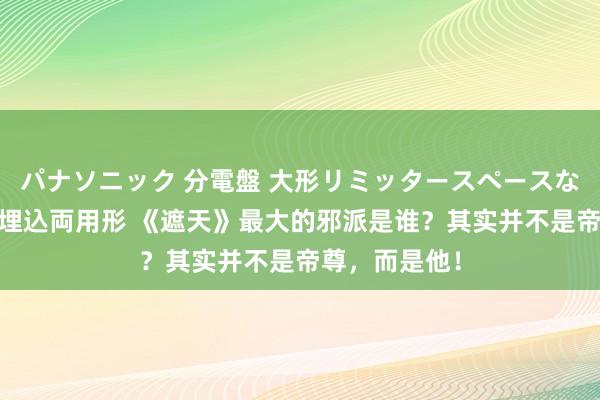 パナソニック 分電盤 大形リミッタースペースなし 露出・半埋込両用形 《遮天》最大的邪派是谁？其实并不是帝尊，而是他！