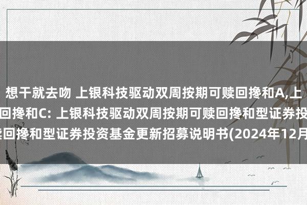 想干就去吻 上银科技驱动双周按期可赎回搀和A,上银科技驱动双周按期可赎回搀和C: 上银科技驱动双周按期可赎回搀和型证券投资基金更新招募说明书(2024年12月28日公告)