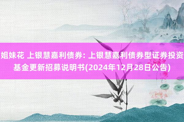 姐妹花 上银慧嘉利债券: 上银慧嘉利债券型证券投资基金更新招募说明书(2024年12月28日公告)