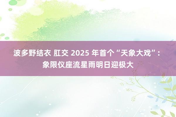 波多野结衣 肛交 2025 年首个“天象大戏”: 象限仪座流星雨明日迎极大
