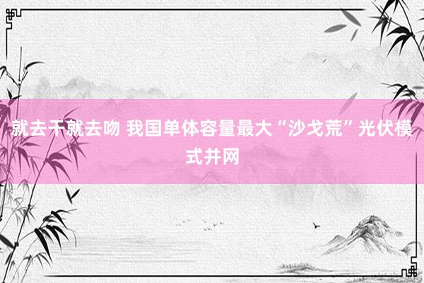 就去干就去吻 我国单体容量最大“沙戈荒”光伏模式并网