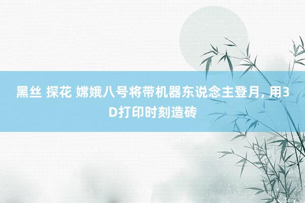 黑丝 探花 嫦娥八号将带机器东说念主登月， 用3D打印时刻造砖
