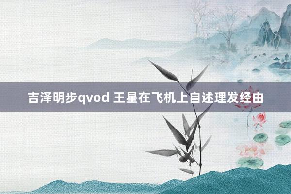 吉泽明步qvod 王星在飞机上自述理发经由