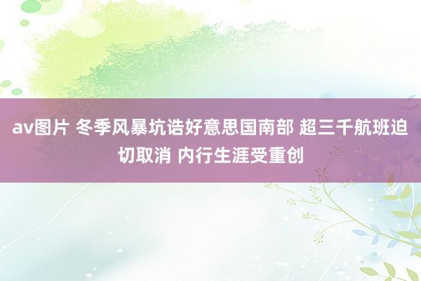 av图片 冬季风暴坑诰好意思国南部 超三千航班迫切取消 内行生涯受重创