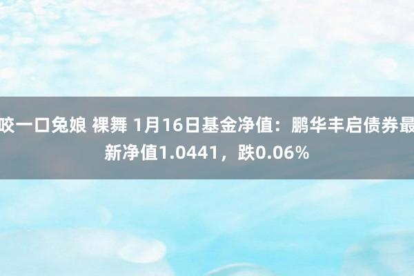 咬一口兔娘 裸舞 1月16日基金净值：鹏华丰启债券最新净值1.0441，跌0.06%