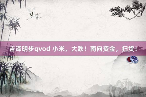 吉泽明步qvod 小米，大跌！南向资金，扫货！