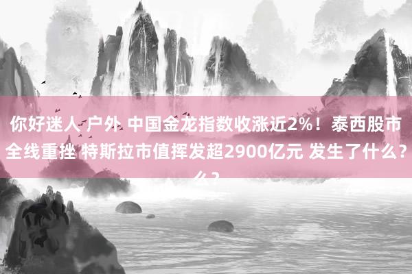 你好迷人 户外 中国金龙指数收涨近2%！泰西股市全线重挫 特斯拉市值挥发超2900亿元 发生了什么？