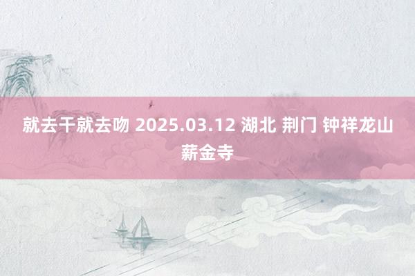 就去干就去吻 2025.03.12 湖北 荆门 钟祥龙山薪金寺