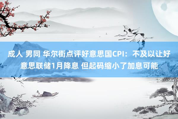 成人 男同 华尔街点评好意思国CPI：不及以让好意思联储1月降息 但起码缩小了加息可能