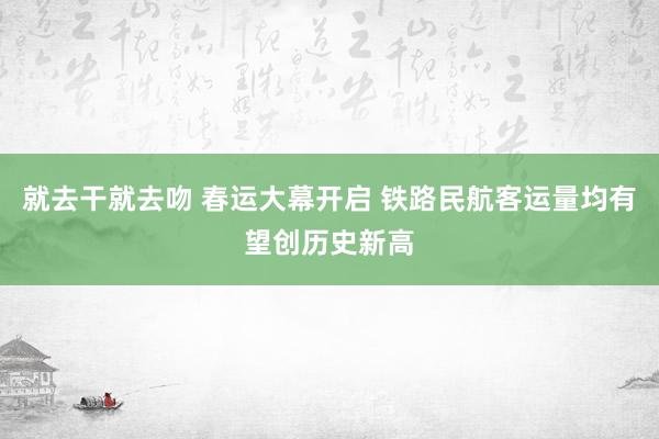 就去干就去吻 春运大幕开启 铁路民航客运量均有望创历史新高