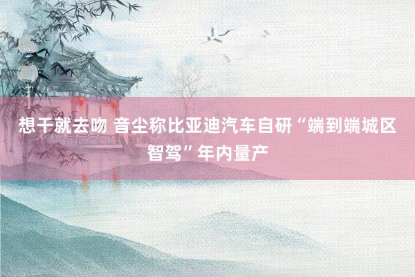 想干就去吻 音尘称比亚迪汽车自研“端到端城区智驾”年内量产
