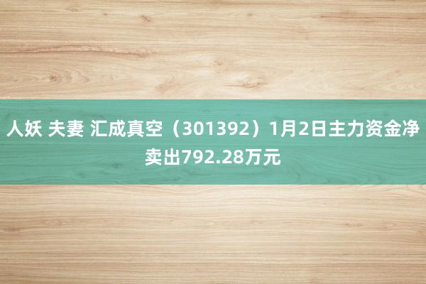 人妖 夫妻 汇成真空（301392）1月2日主力资金净卖出792.28万元