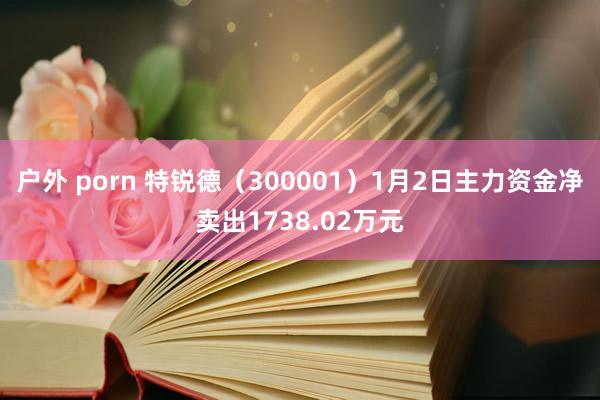 户外 porn 特锐德（300001）1月2日主力资金净卖出1738.02万元
