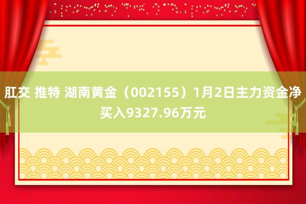 肛交 推特 湖南黄金（002155）1月2日主力资金净买入9327.96万元