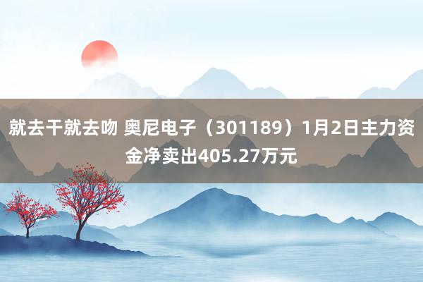 就去干就去吻 奥尼电子（301189）1月2日主力资金净卖出405.27万元