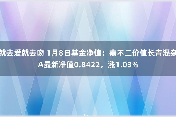 就去爱就去吻 1月8日基金净值：嘉不二价值长青混杂A最新净值0.8422，涨1.03%
