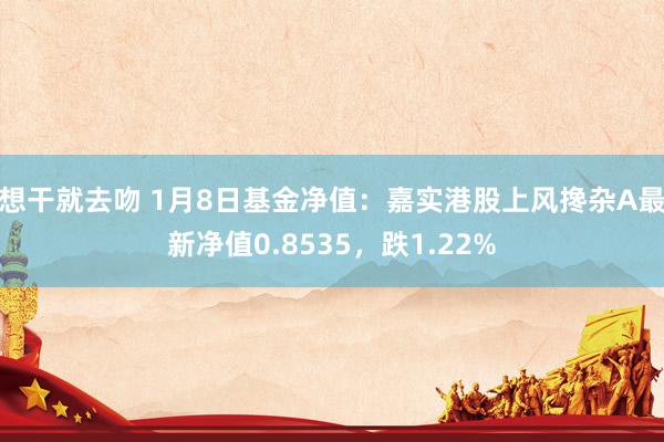 想干就去吻 1月8日基金净值：嘉实港股上风搀杂A最新净值0.8535，跌1.22%