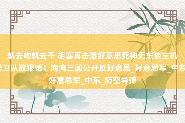 就去吻就去干 胡塞再击落好意思死神无东谈主机，伊朗立异卫队放狠话！海湾三国公开反好意思_好意思军_中东_防空导弹