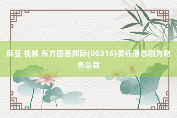麻豆 视频 东方国番邦际(00316)委任潘志刚为财务总裁
