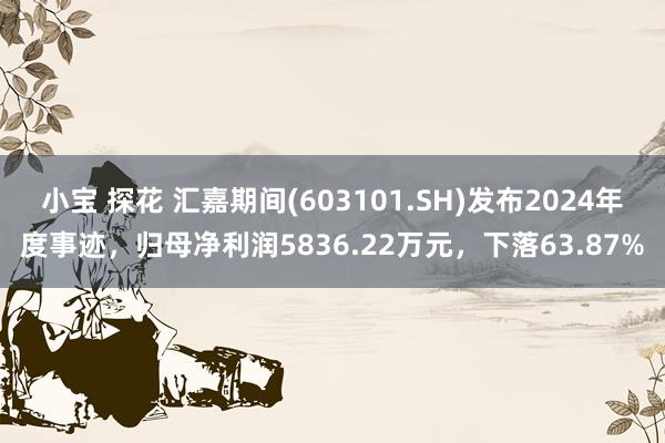 小宝 探花 汇嘉期间(603101.SH)发布2024年度事迹，归母净利润5836.22万元，下落63.87%