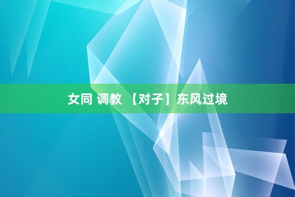女同 调教 【对子】东风过境