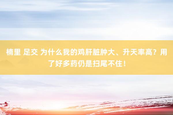 楠里 足交 为什么我的鸡肝脏肿大、升天率高？用了好多药仍是扫尾不住！