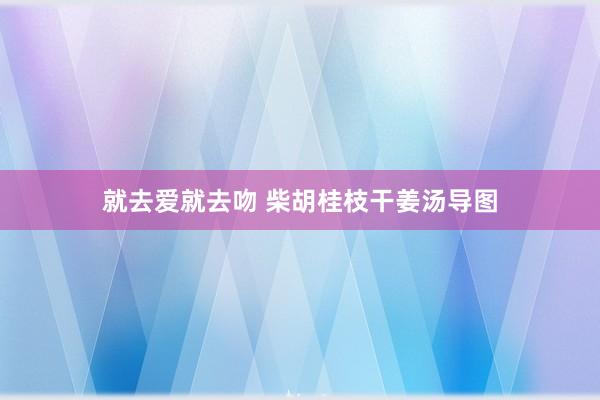 就去爱就去吻 柴胡桂枝干姜汤导图